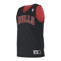 A115LA Alleson Athletic Chicago Bulls