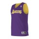 A115LA Alleson Athletic Los Angeles Lakers