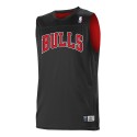 A105LY Alleson Athletic Chicago Bulls
