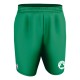 A205LY Alleson Athletic Boston Celtics