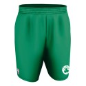 A205LY Alleson Athletic Boston Celtics