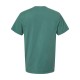 GDH100 ComfortWash by Hanes CACTUS