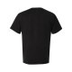 GDH100 ComfortWash by Hanes BLACK