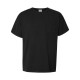 GDH150 ComfortWash by Hanes BLACK
