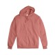 GDH450 ComfortWash by Hanes MAUVE