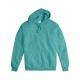GDH450 ComfortWash by Hanes SPANISH MOSS