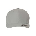 110P Flexfit SILVER