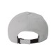 110P Flexfit SILVER