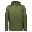 229534 Holloway OLIVE