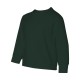 29BLR Jerzees FOREST GREEN
