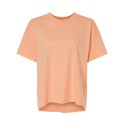 3519 LAT PEACHY