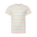 6101 LAT Rainbow Stripe