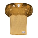 S096BM Russell Athletic GOLD