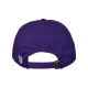 GB210 The Game PURPLE