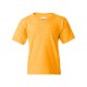 5000B Gildan GOLD