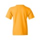 5000B Gildan GOLD