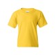 5000B Gildan DAISY