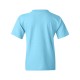 5000B Gildan SKY