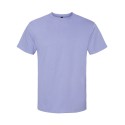 65000 Gildan VIOLET