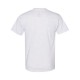 5170 Hanes ASH