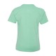 5450 Hanes CLEAN MINT