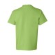 5450 Hanes LIME