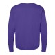 P160 Hanes PURPLE