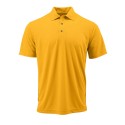 108Y Paragon GOLD