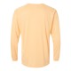 210 Paragon PEACH
