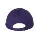 VC300A Valucap PURPLE