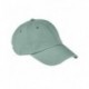 AP1920 Authentic Pigment 