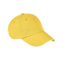 AP1920 Authentic Pigment SQUASH