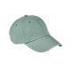 AP1920 Authentic Pigment CYPRESS