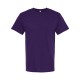 4800 M&O PURPLE